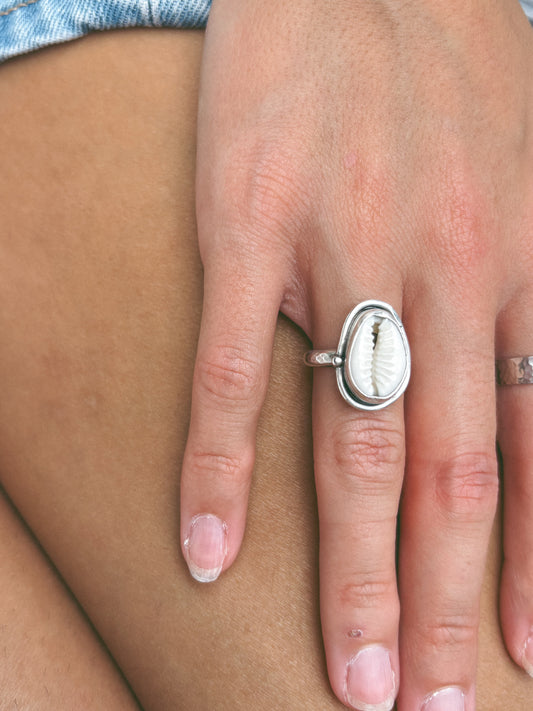 Cowrie ring with detailing